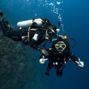 Two divers in Catalina Islands