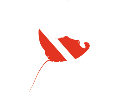 Be water diving - Buceo en Tamarindo Costa Rica