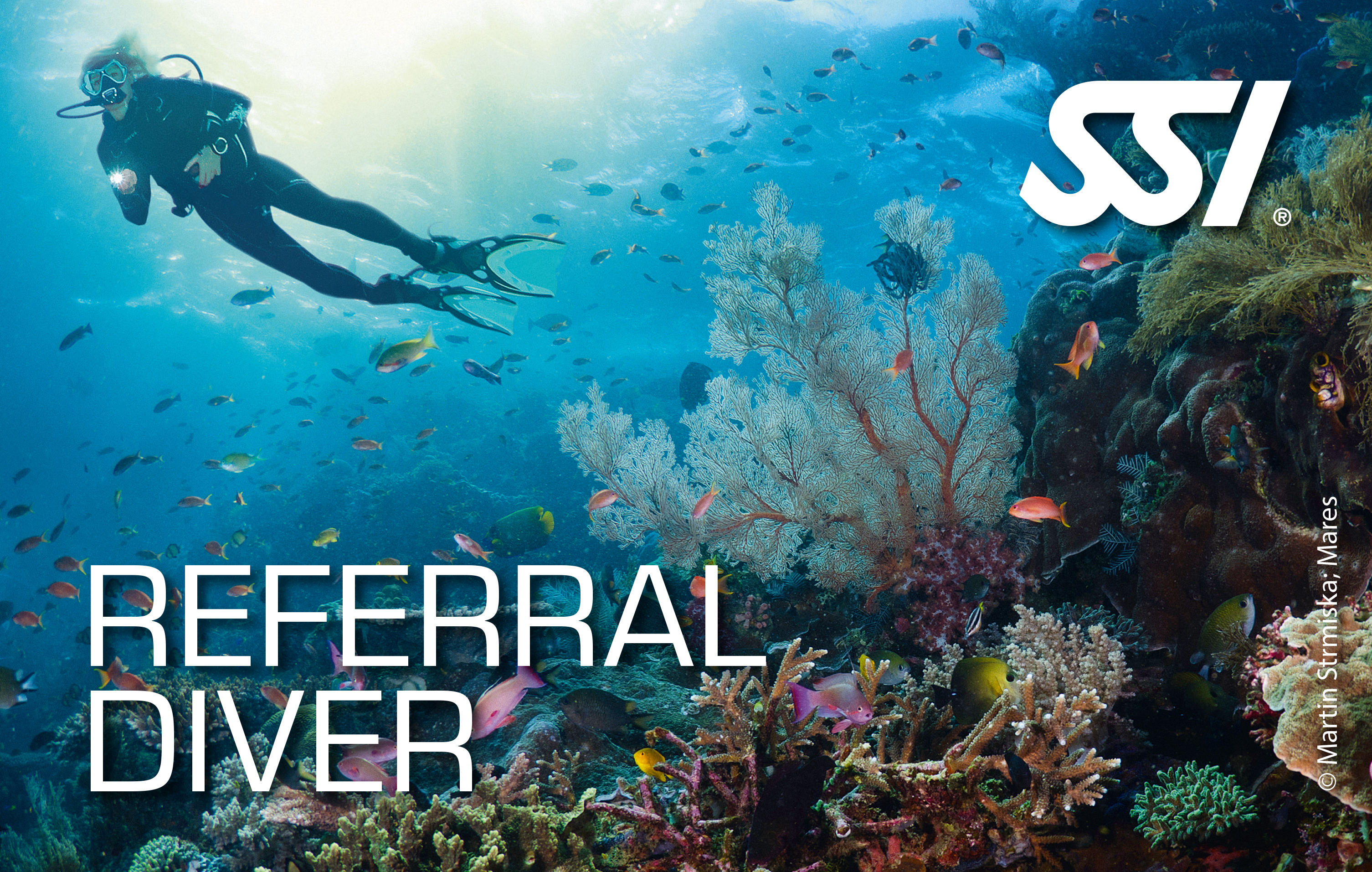 Padi y SSI open water referral